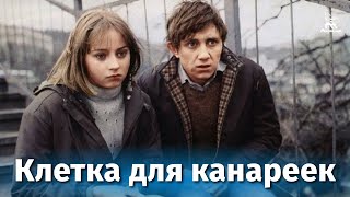Клетка для канареек (1983)