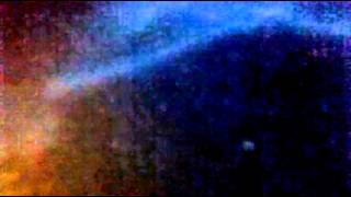 Regular Joe- Ashton Shepherd