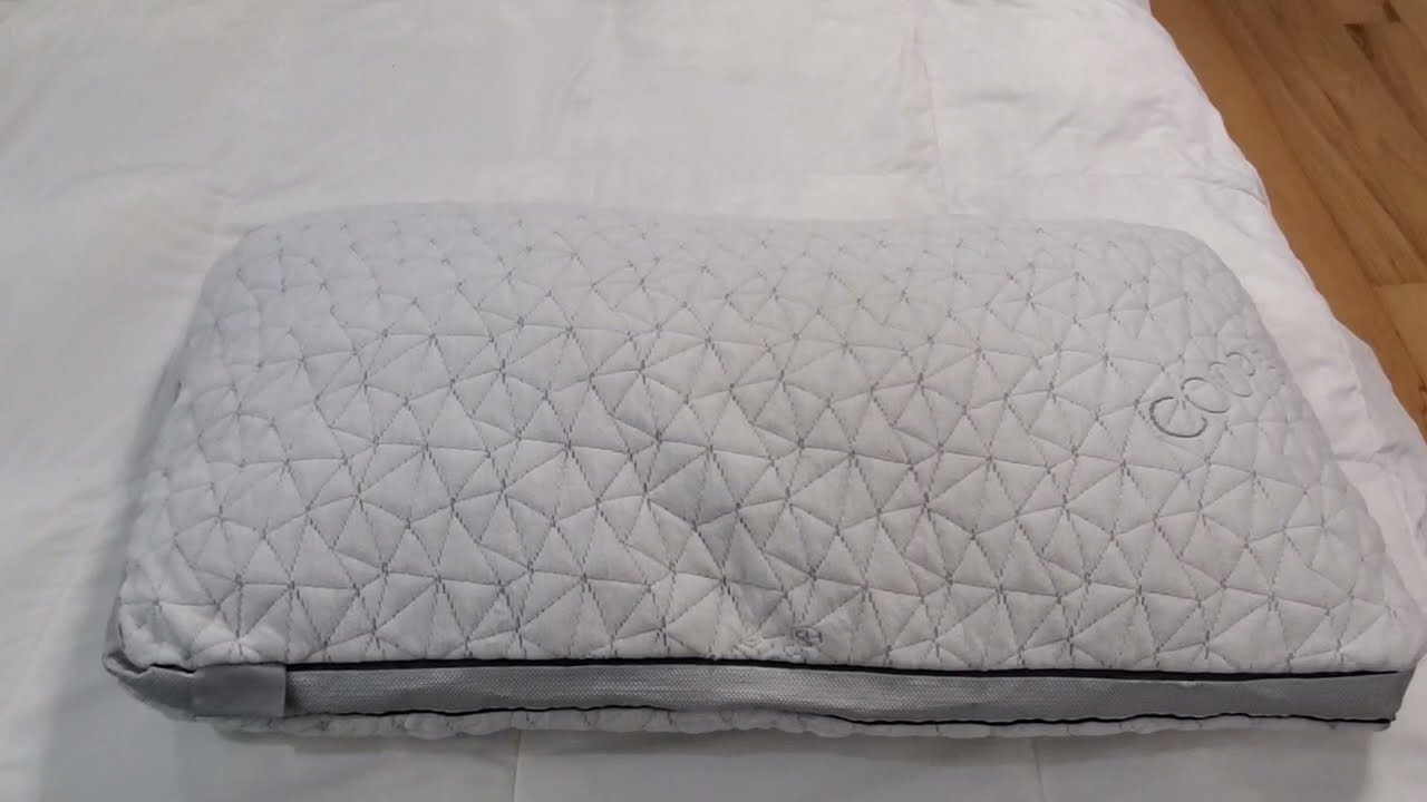 Honest Review of Coop Home Goods Eden Pillow