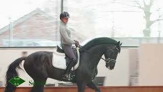 Sélection allemande pour les Championnats du Monde des 5 ans