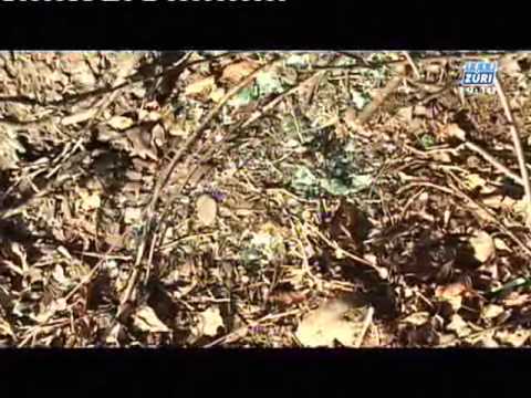 Selbstunfall in Fehraltorf