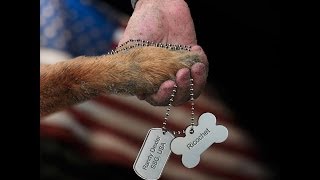 Ricochet & Randy PTSD Battle Buddy Initiative