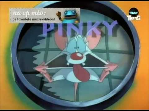 Pinky and the Brain - Intro/Theme [Dutch] [HQ]