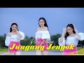Jungang Jengok PONY VALLEN M V Official Song Dayak 2025