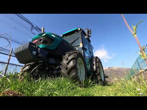 Goldoni S80 Plus / Scalzatore reversibile MIRA Orizzonti