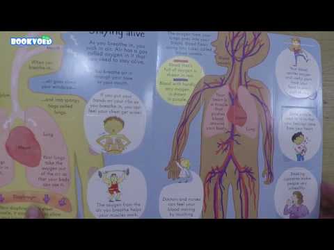 Видео обзор Look Inside Your Body [Usborne]