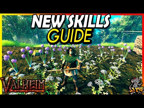 VALHEIM New Skills Guide Cooking, Crafting & Farming Skills Added (Bog Witch PTB Update)