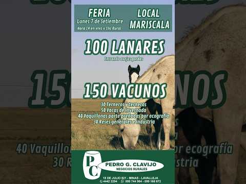 07/09/2026 Feria Mensual - Local Mariscala - Lavalleja - Pedro G. Clavijo | ClicRural