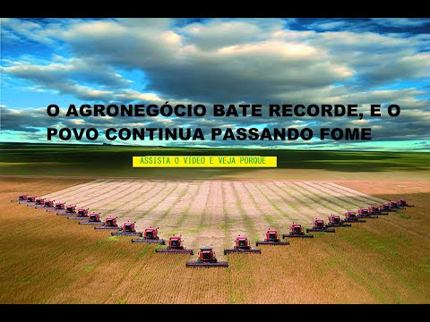 SEGURANÇA ALIMENTAR, O AGRO É  POP O AGRO É  TUDO!?