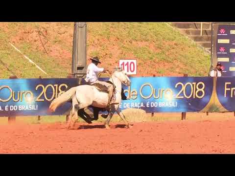 Prova de Campo II - JB de Palermo