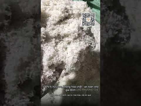 Mùn sừng trâu bò nguyên chất – Bón cây cảnh, ăn quả, rau củ, hoa màu | 39.000 - PhuongChiStore