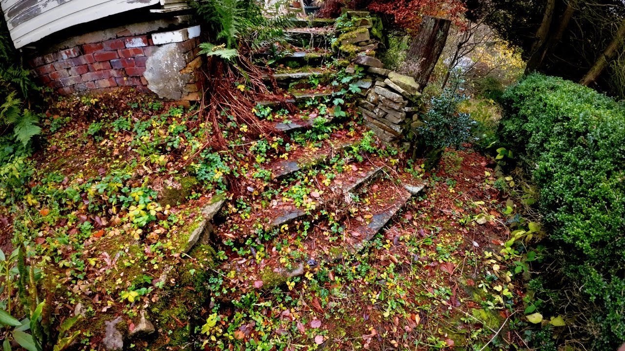 *ENCHANTED* Garden Restoration! HELP Us Take On Decades Of GROWTH!