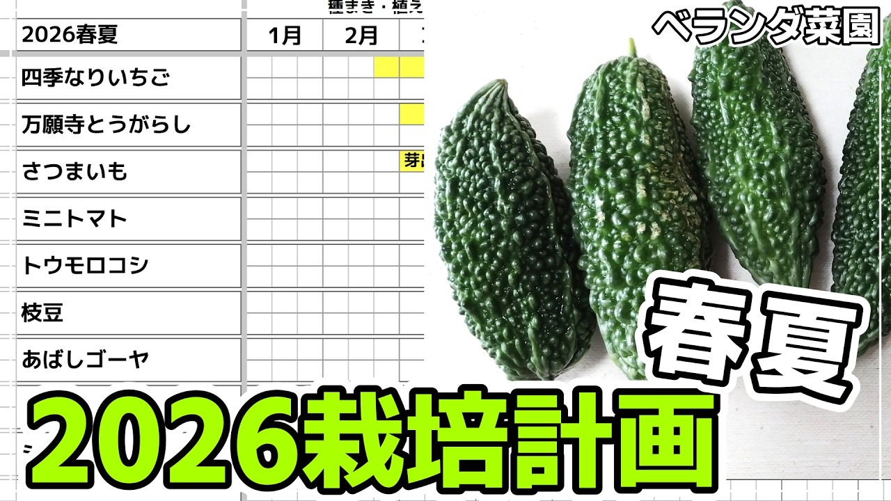 【ベランダ菜園】2026年春夏のベランダ菜園の計画を立てよう！