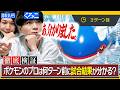 【衝撃展開】ポケモン廃人は「何ターン前」に試合結果が分かるのか？