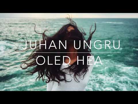 Juhan Ungru - Oled Hea