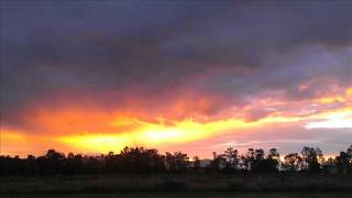 Coal Mine - Syd Arthur