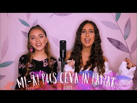 Trupa The Mood - Mi-ai Pus Ceva In Pahar (cover) | Liviu Teodorescu