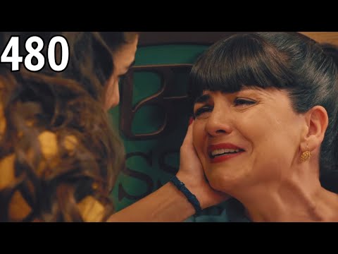 Sueños de Libertad Capítulo 480 Completo : Gema al límite: su embarazo y su corazón en peligro