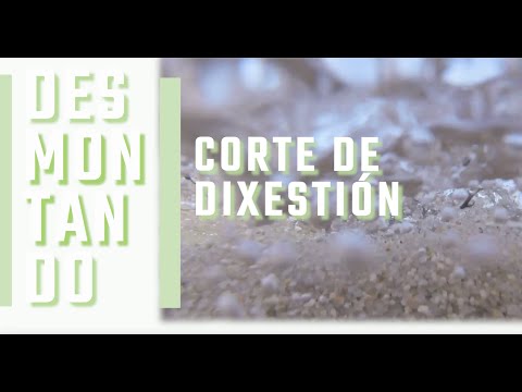 Vídeo: Corte de dixestión, a clave é a temperatura