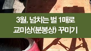 3월, 넘치는 벌 봉판 1매로 교미상(분봉상) 꾸미기