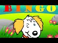 Bingo Nursery Rhyme | Learn Words in Spanish Español | From Baby Genius