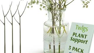 🌿 Versatile Plant Support Stakes - Perfect for Indoor & Outdoor Gardens