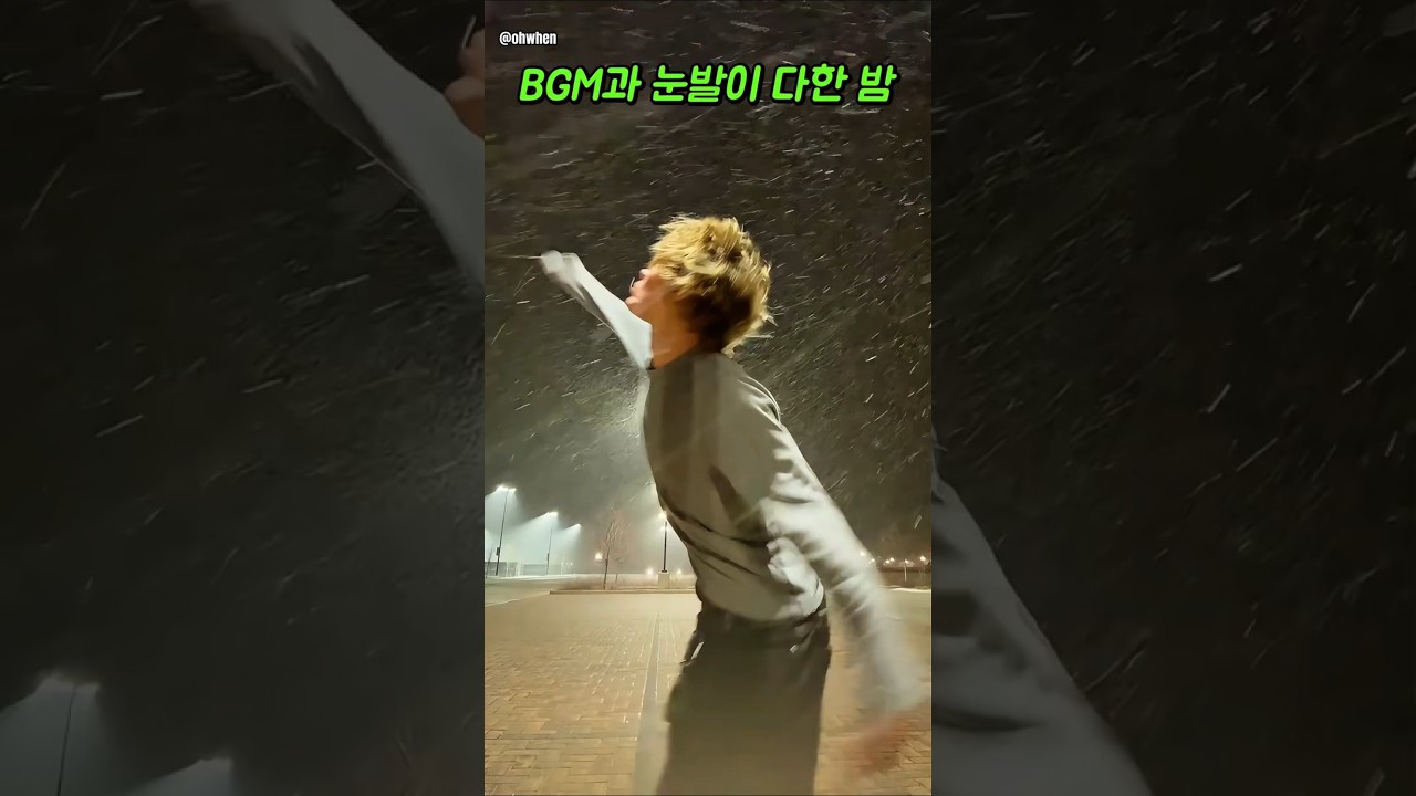 BGM과 눈발이 다한 밤