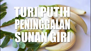 Download lagu Peninggalan Sunan Giri Turi-Turi Putih [UnofficialAudio] mp3