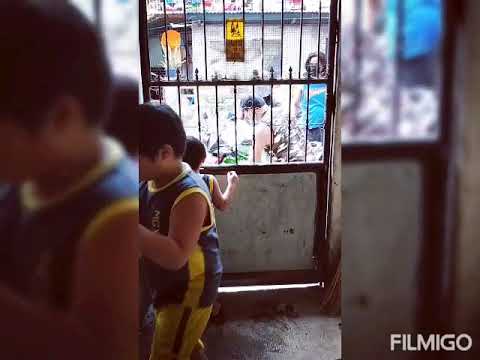 NEW VESPA POCKETBIKE