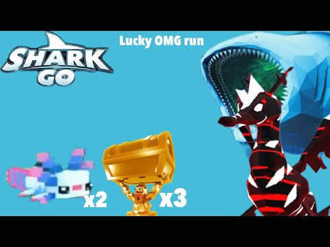 Lucky OMG run in Shark Go