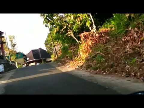 JORONG LIMO, NAGARI SUNGAYANG-BATUSANGKAR