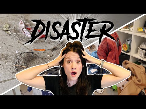 Visit from a Minimalist | Disaster Clean With Me