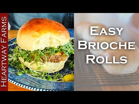 Easy Homemade Brioche Buns Recipe for Perfect Hamburgers and Hotdogs | Everyday Breads