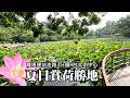 從捷運站出發，走路3分鐘，抵達有130年歷史的老公園，台北市區夏日賞荷勝地，還有好多歷史古蹟及珍稀植物