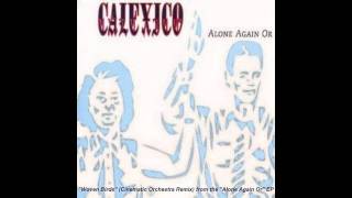Calexico &quot;Woven Birds&quot; (Cinematic Orchestra Remix)