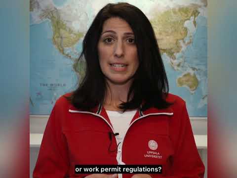 Are you looking for an international career