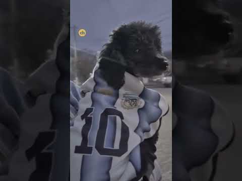 Buena Esperanza desató la locura por Argentina con una multitudinaria caravana