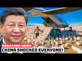 CHINA Released A MILLION RABBITS Into The Desert — The Reason Will SHOCK YOU