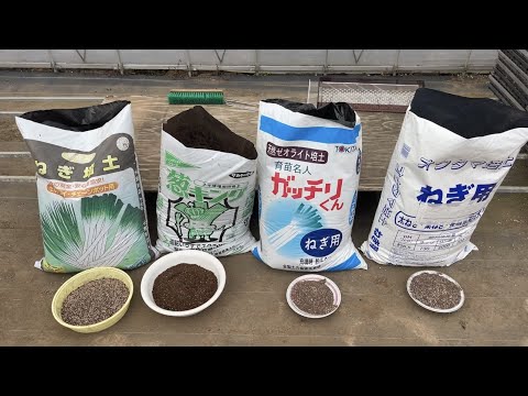 牡丹の肥料：春に適用する最も効果的な天然物は次のとおりです。  庭園