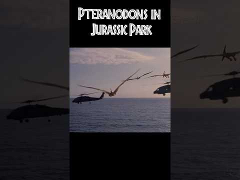 Pteranodon in Jurassic World and in Jurassic Park Edit #shorts#dinosaur #jurassicpark #jurassicworld