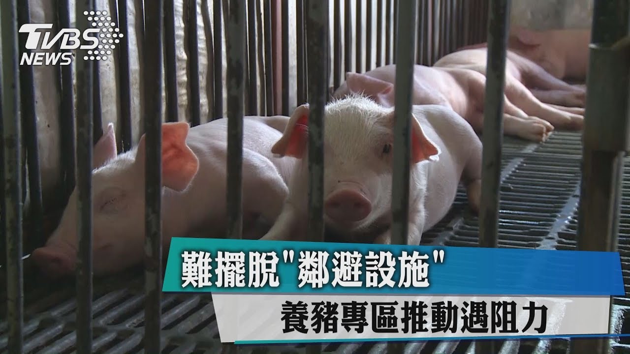 難擺脫「鄰避設施」　養豬專區推動遇阻力