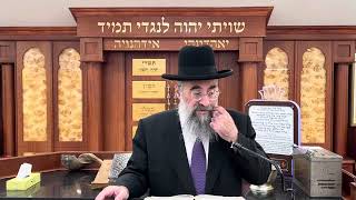 מה החידוש שכהנים ולויים צריכים תקיעת שופר (הרב יצחק ישראלי) - התמונה מוצגת ישירות מתוך אתר האינטרנט יוטיוב. זכויות היוצרים בתמונה שייכות ליוצרה. קישור קרדיט למקור התוכן נמצא בתוך דף הסרטון