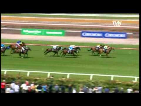 Steve Moran Selects - Australian Guineas Day