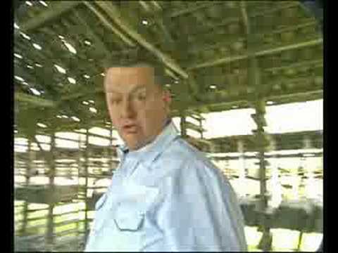 Johnny Bolk - Ik ben zo verliefd