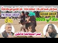 Pakistani Champion Bully Dogs Falcon Babra Pride Of The Wild P K Insaf Vs Gujjar Group