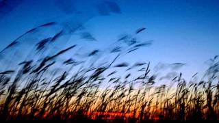 Wicked Come Winter   Matt Mays &amp; El Torpedo