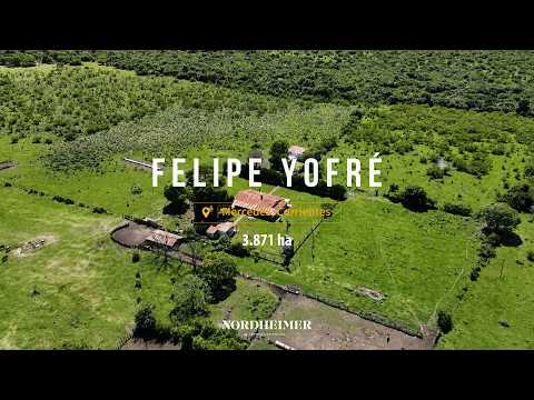 Felipe Yofre, Mercedes, Corrientes  - 3871 ha | Campo en venta