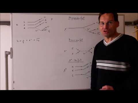 Elementarteilchenphysik 20- Teilchenreaktionen im Standardmodell der schwachen Wechselwirkung