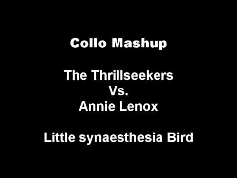 Collo Mashup - Thrillseekers vs annie lennox - little synaesthesia bird