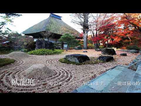 jardin zen moderne-en-ville-lanterne-japonaise-coniferes-pelouse